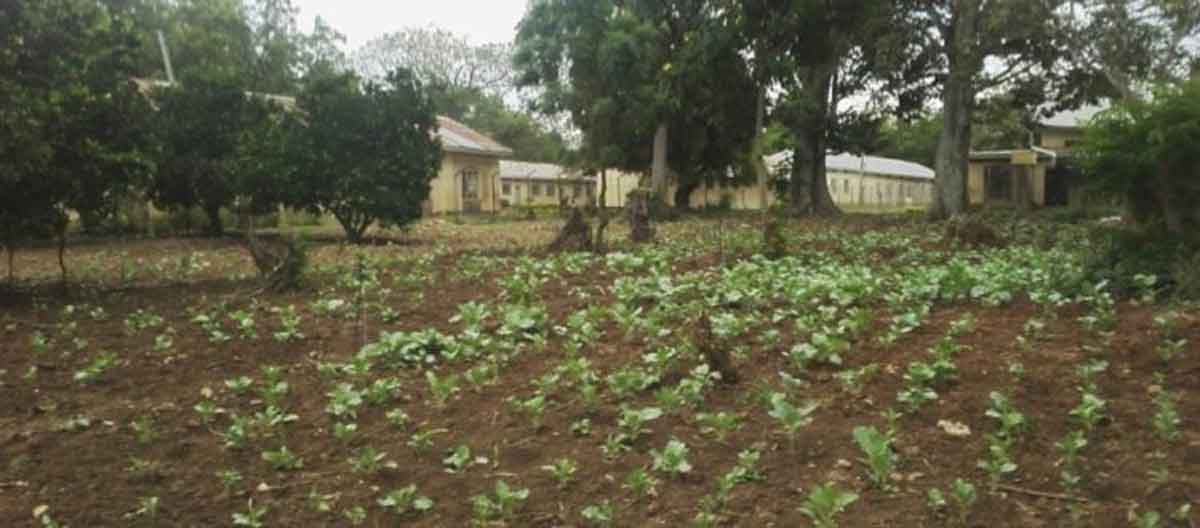 Sustainable Agriculture for Visually Impaired Students