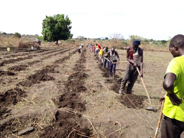 Agricultural project for the Mijale community